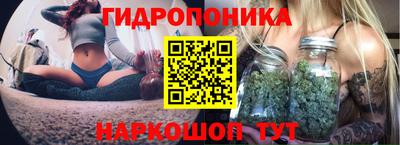 эйфоретик Лесосибирск