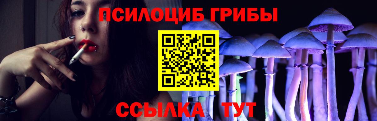 Галлюциногенные грибы мухоморы Егорьевск